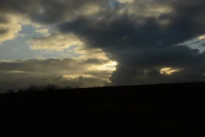 DSC_1351 (Large).JPG